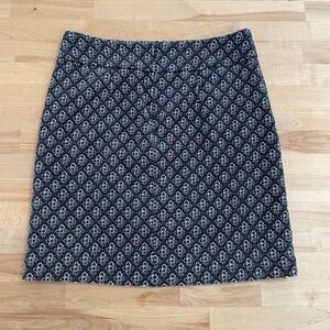 Ann Taylor skirt